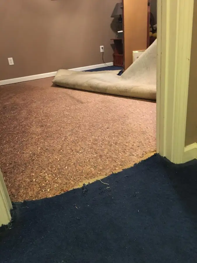 Carpet pad removal revealing water damage during Drying & Dehumidification in Haverhill